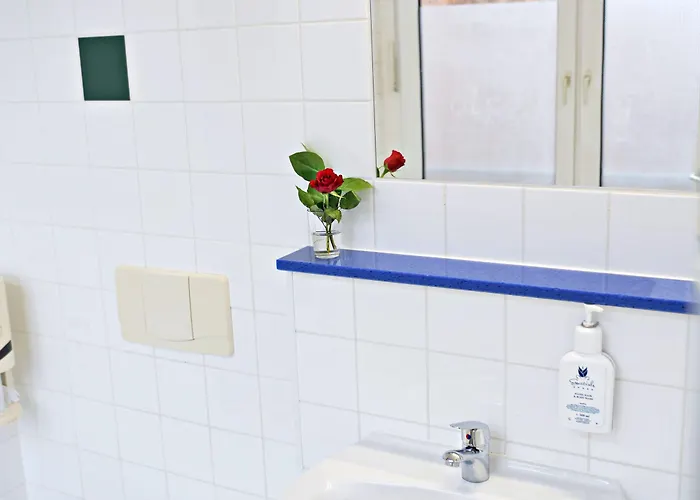 ترانزيت لوفت 3*